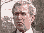 Президент США Джордж Буш упал во время своего велосипедного кросса в субботу.